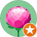 BaMa “. profile picture